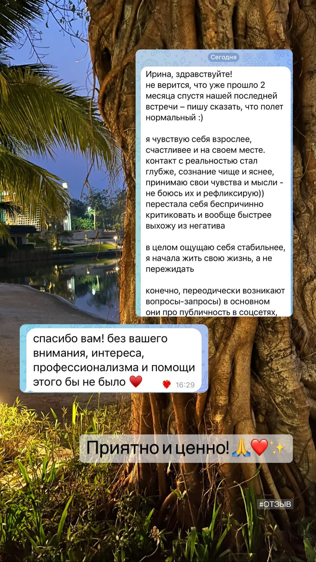 Отзыв клиента 14