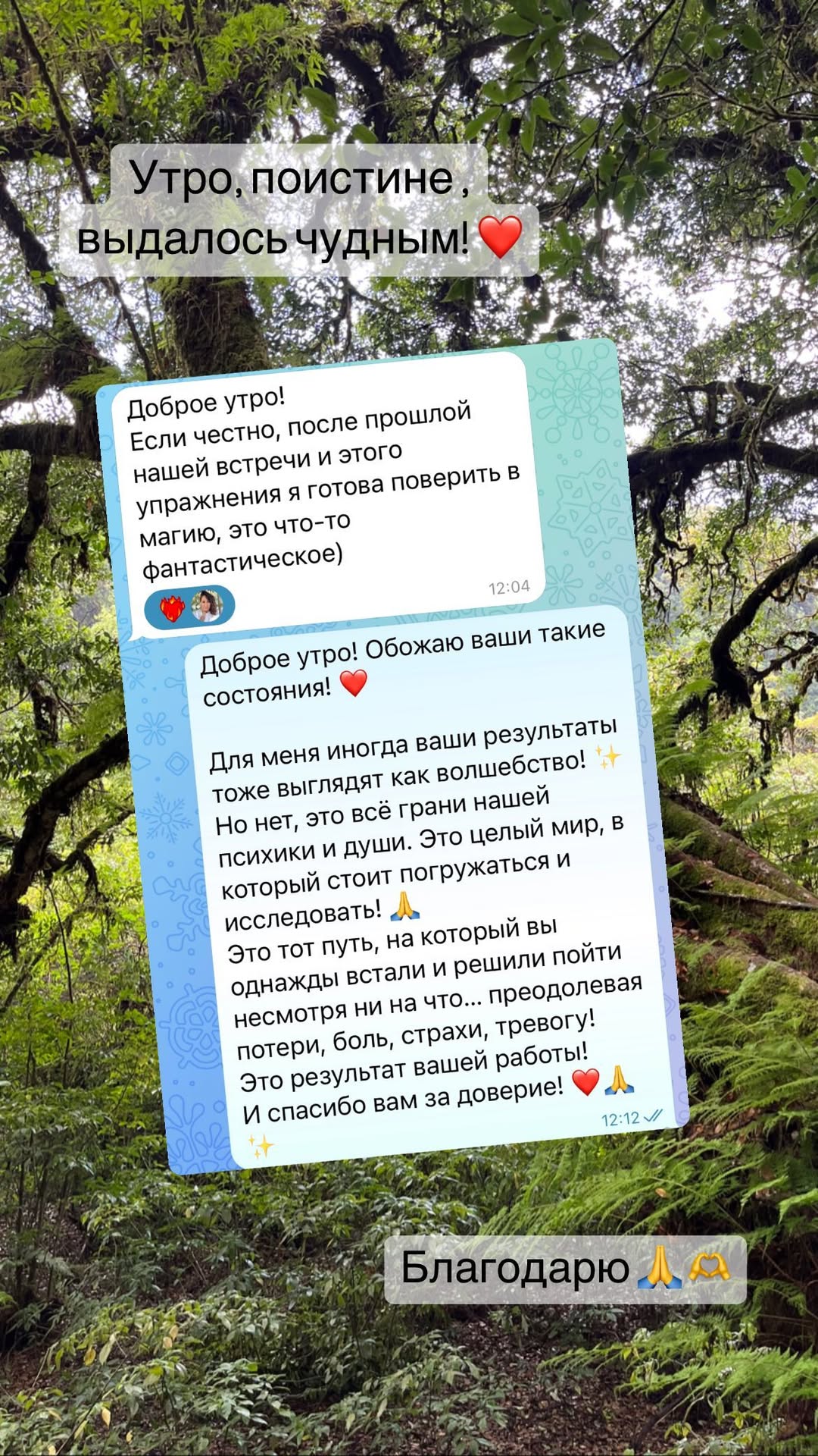 Отзыв клиента 19