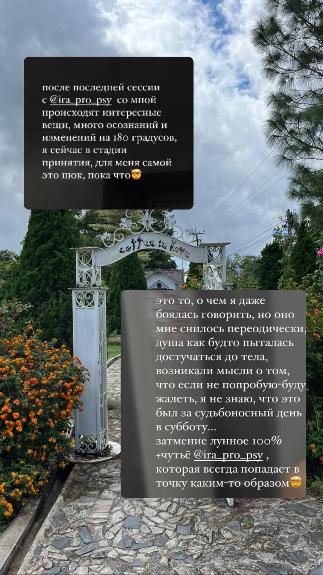 Отзыв клиента 27